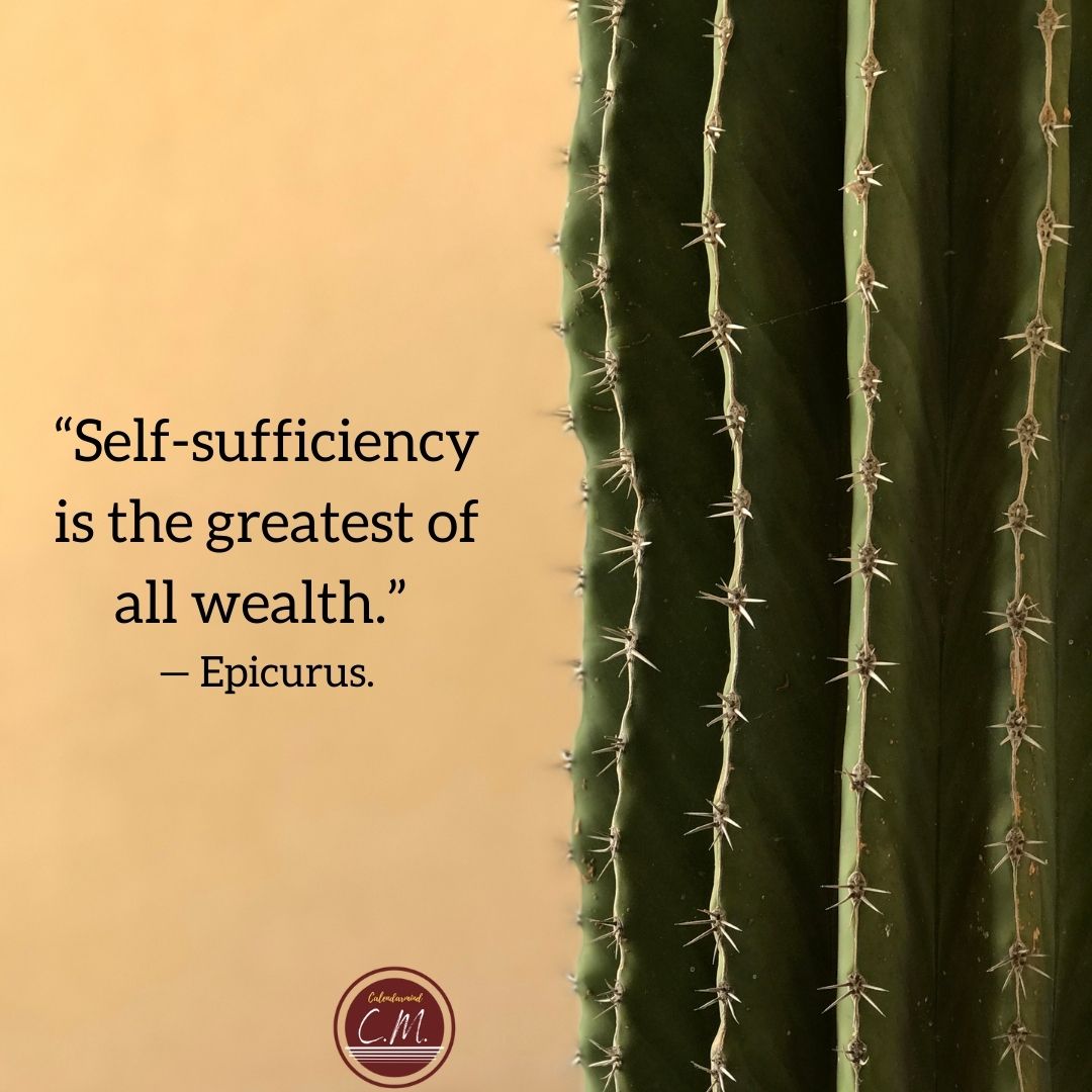 “Self-sufficiency is the greatest of all wealth.” — Epicurus.